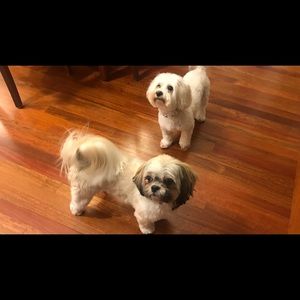 Meet your Posher, Linda